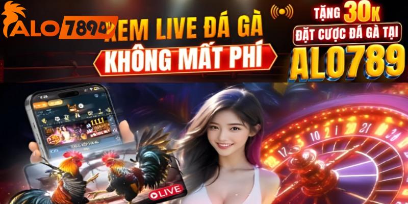 Xem đá gà ALO789 +30K đặt cược chỉ có ở nhà cái